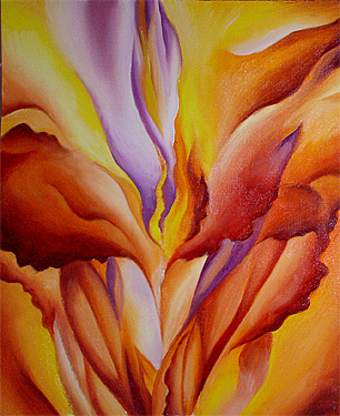 O'Keeffe Canna